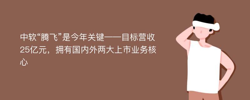 中软“腾飞”是今年关键——目标营收25亿元，拥有国内外两大上市业务核心