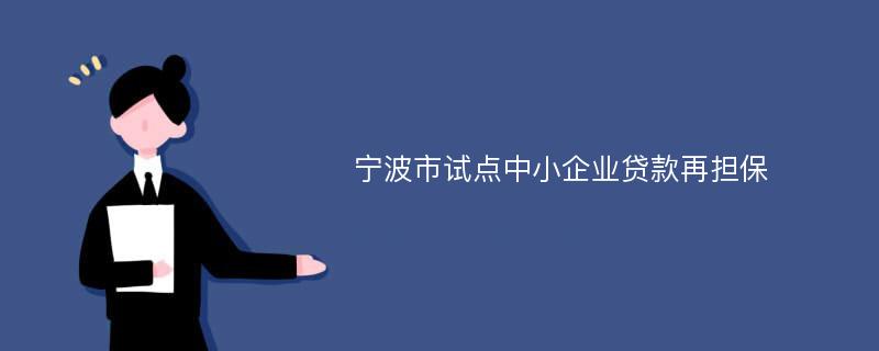 宁波市试点中小企业贷款再担保