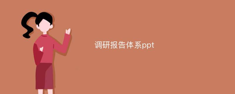 调研报告体系ppt