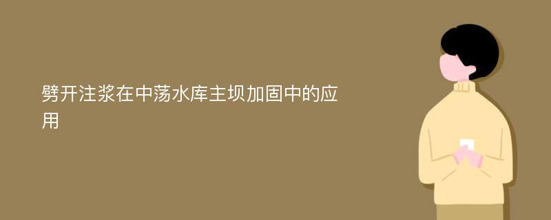 劈开注浆在中荡水库主坝加固中的应用