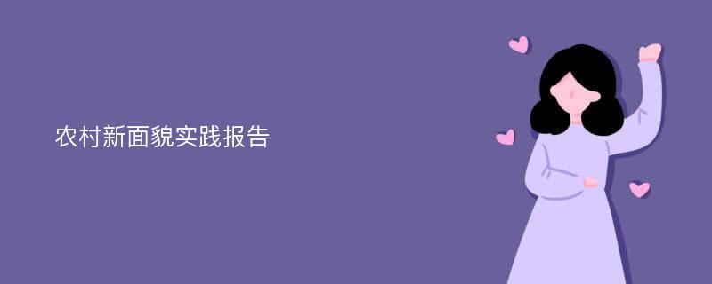 农村新面貌实践报告