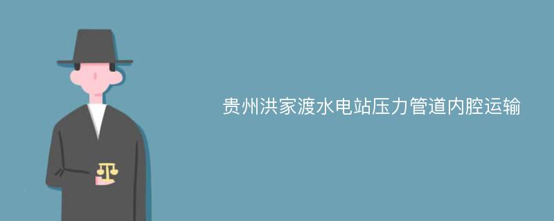 贵州洪家渡水电站压力管道内腔运输