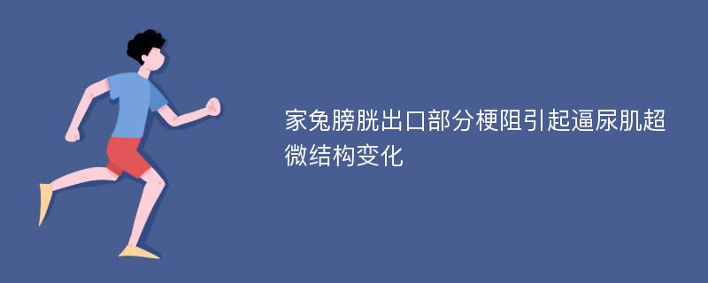 家兔膀胱出口部分梗阻引起逼尿肌超微结构变化