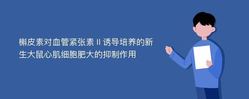 槲皮素对血管紧张素Ⅱ诱导培养的新生大鼠心肌细胞肥大的抑制作用