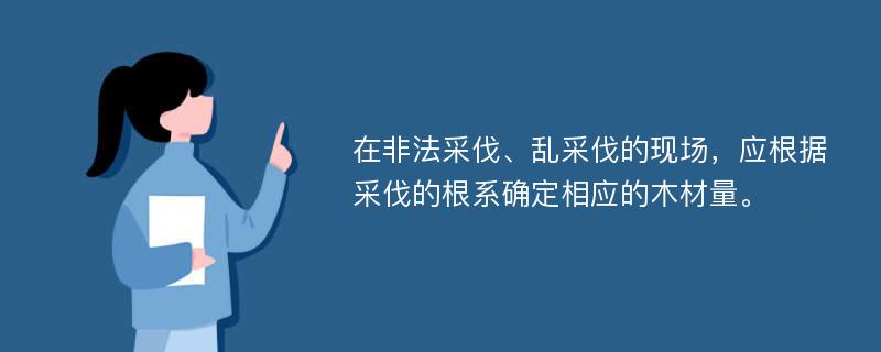 在非法采伐、乱采伐的现场，应根据采伐的根系确定相应的木材量。