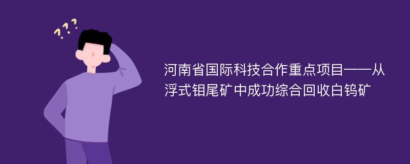 河南省国际科技合作重点项目——从浮式钼尾矿中成功综合回收白钨矿