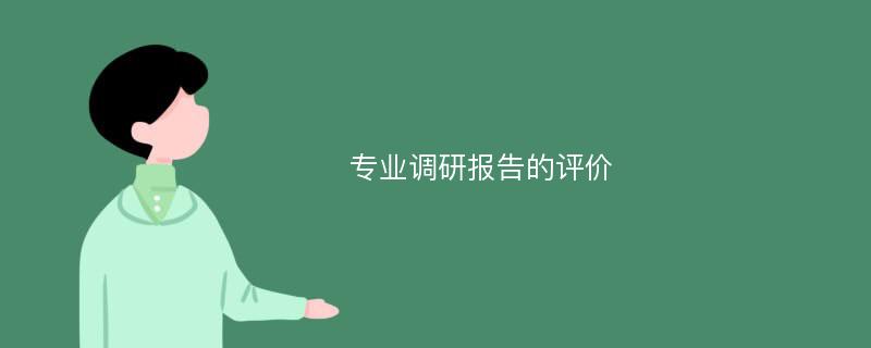 专业调研报告的评价