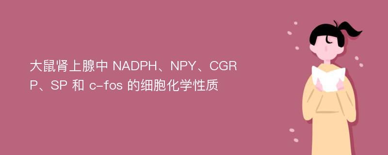 大鼠肾上腺中 NADPH、NPY、CGRP、SP 和 c-fos 的细胞化学性质