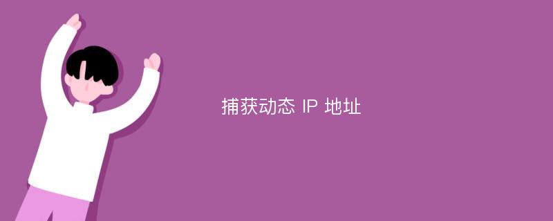 捕获动态 IP 地址