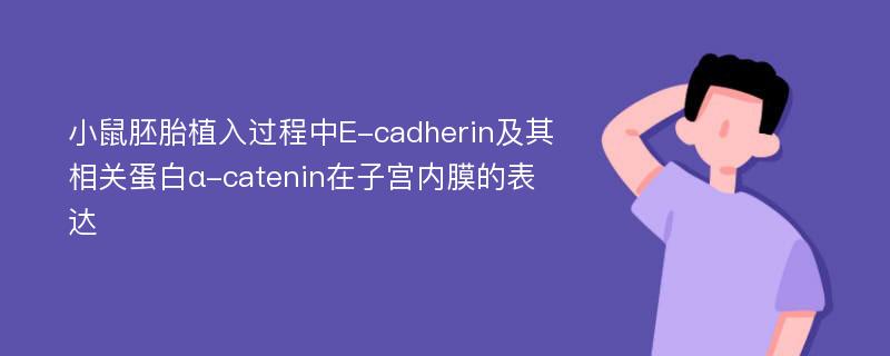 小鼠胚胎植入过程中E-cadherin及其相关蛋白α-catenin在子宫内膜的表达