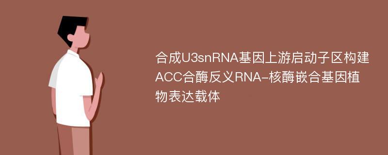 合成U3snRNA基因上游启动子区构建ACC合酶反义RNA-核酶嵌合基因植物表达载体