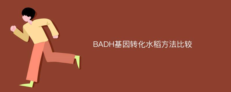 BADH基因转化水稻方法比较