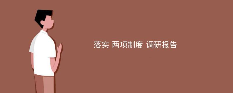 落实 两项制度 调研报告