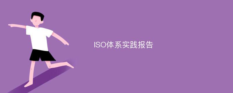 ISO体系实践报告