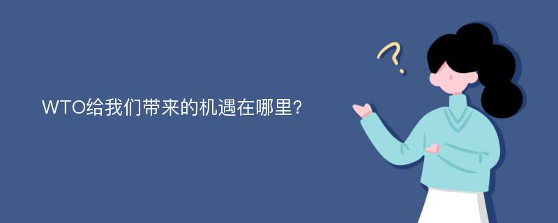 WTO给我们带来的机遇在哪里？