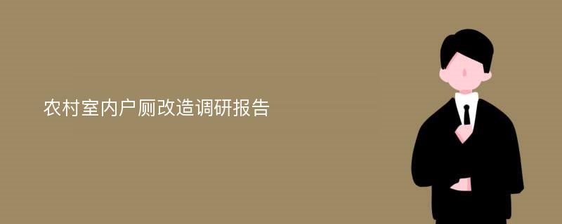 农村室内户厕改造调研报告