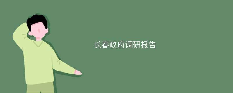 长春政府调研报告