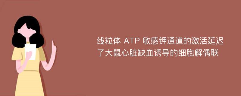 线粒体 ATP 敏感钾通道的激活延迟了大鼠心脏缺血诱导的细胞解偶联