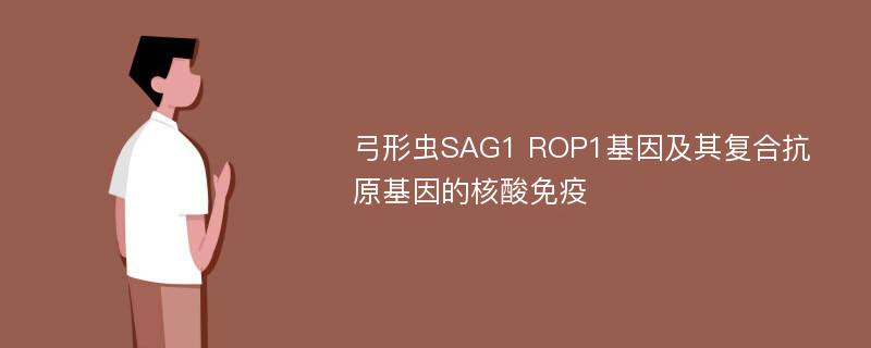 弓形虫SAG1 ROP1基因及其复合抗原基因的核酸免疫