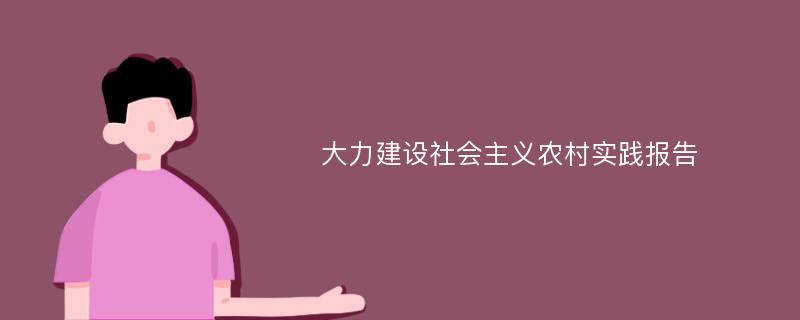 大力建设社会主义农村实践报告