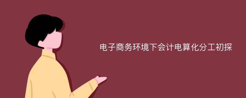 电子商务环境下会计电算化分工初探